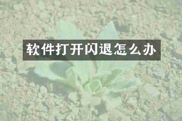 软件打开闪退怎么办