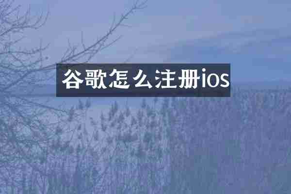 谷歌怎么注册ios
