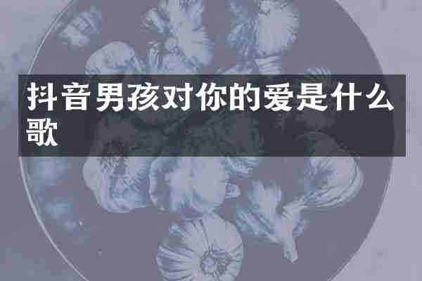 抖音男孩对你的爱是什么歌