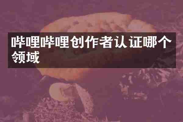 哔哩哔哩创作者认证哪个领域
