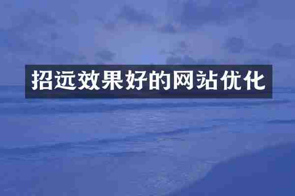 招远效果好的网站优化