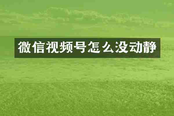 微信视频号怎么没动静