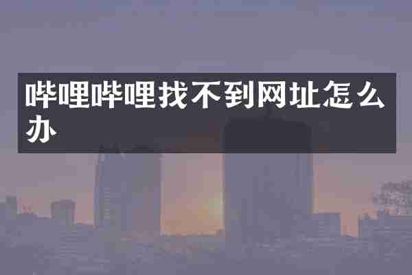 哔哩哔哩找不到网址怎么办