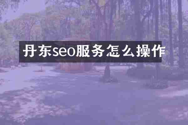 丹东seo服务怎么操作
