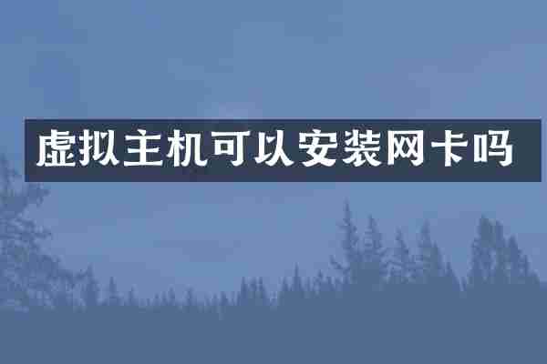 虚拟主机可以安装网卡吗