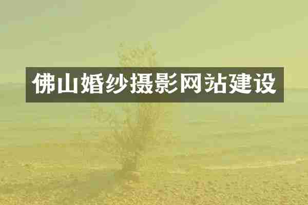 佛山婚纱摄影网站建设