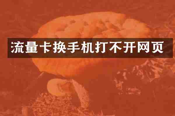 流量卡换手机打不开网页