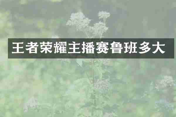 王者荣耀主播赛鲁班多大