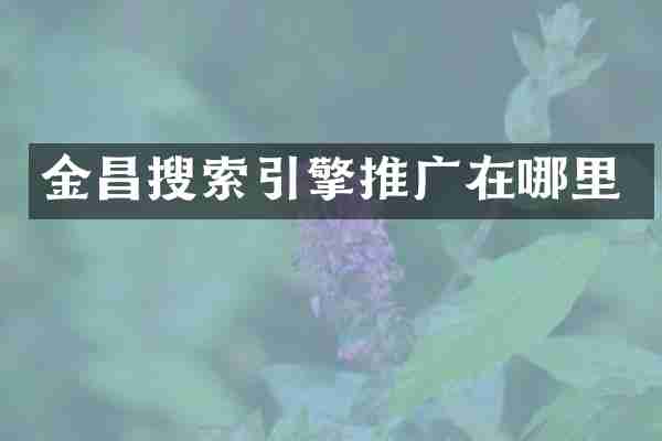 金昌搜索引擎推广在哪里