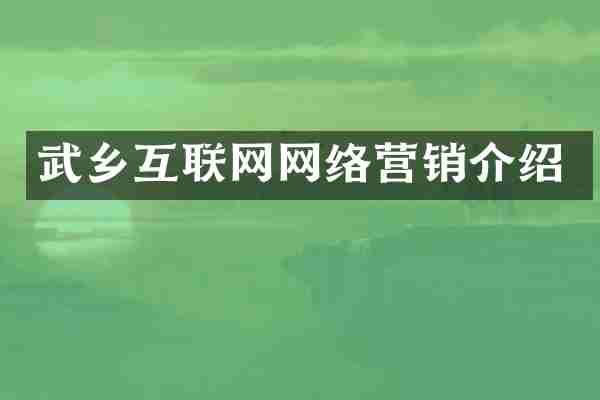 武乡互联网网络营销介绍