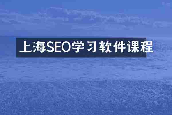 上海SEO学习软件课程