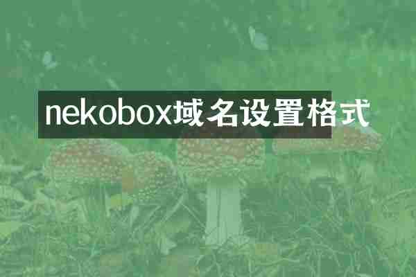 nekobox域名设置格式