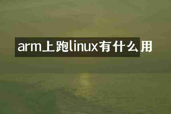 arm上跑linux有什么用