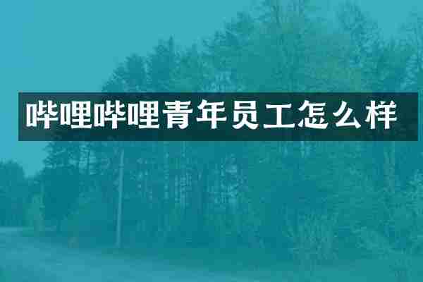 哔哩哔哩青年员工怎么样