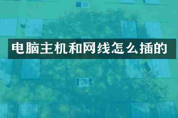 电脑主机和网线怎么插的
