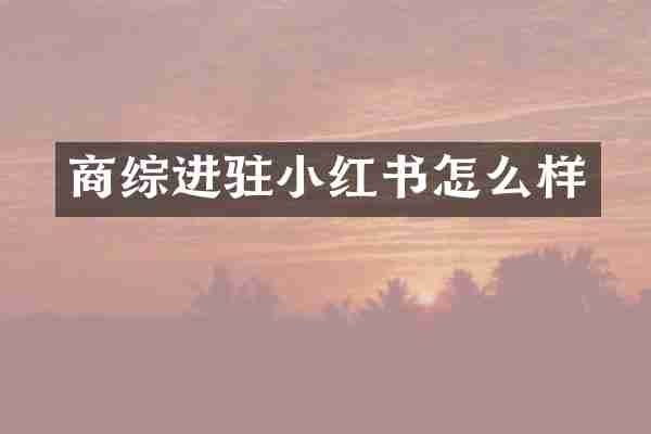 商综进驻小红书怎么样