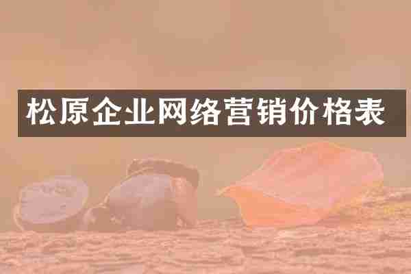 松原企业网络营销价格表