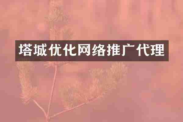 塔城优化网络推广代理