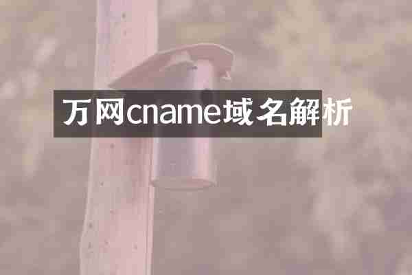 万网cname域名解析