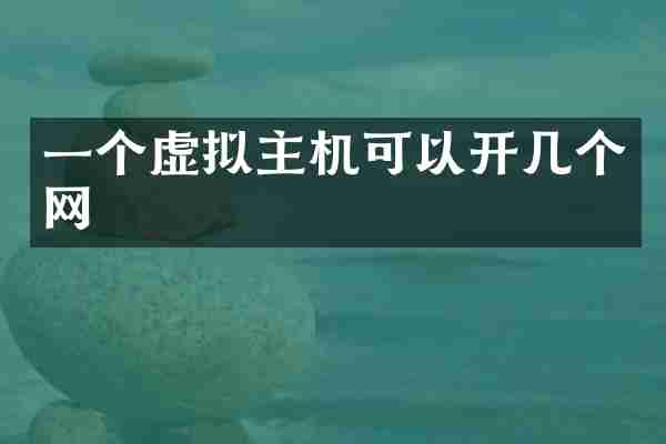 一个虚拟主机可以开几个网