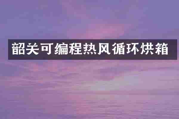 韶关可编程热风循环烘箱
