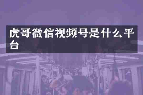 虎哥微信视频号是什么平台
