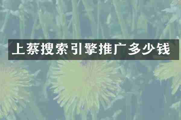 上蔡搜索引擎推广多少钱