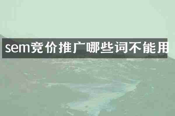 sem竞价推广哪些词不能用