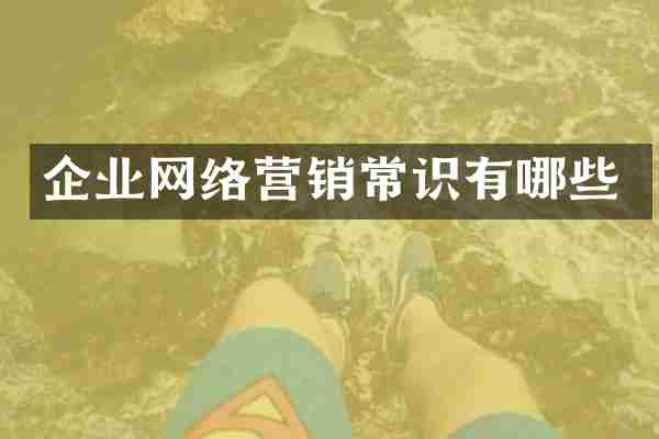 企业网络营销常识有哪些