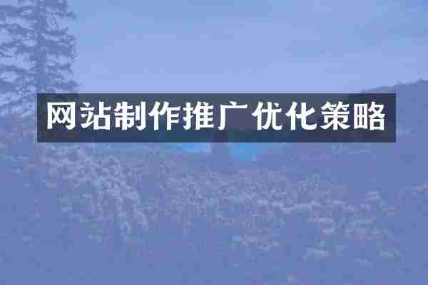 网站制作推广优化策略