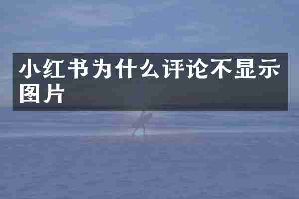 小红书为什么评论不显示图片