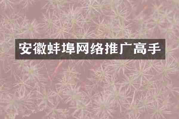 安徽蚌埠网络推广高手