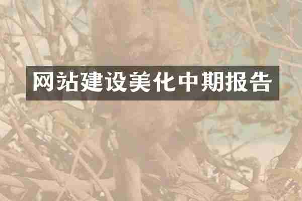网站建设美化中期报告