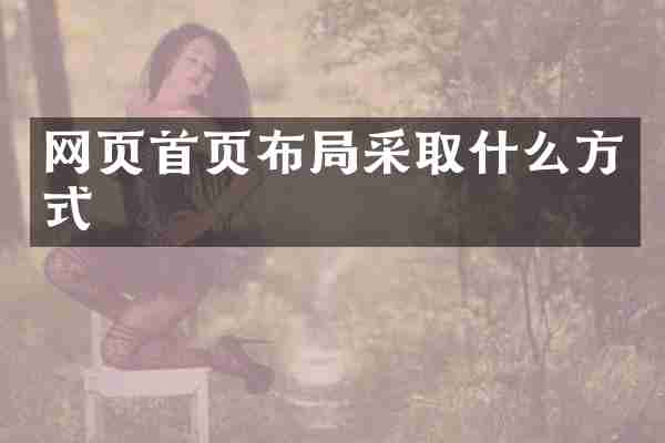 网页首页布局采取什么方式