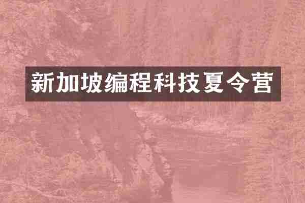 新加坡编程科技夏令营