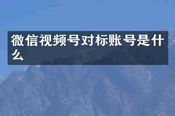 微信视频号对标账号是什么