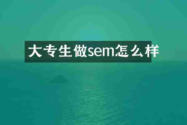 大专生做sem怎么样