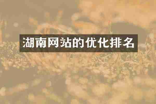湖南网站的优化排名