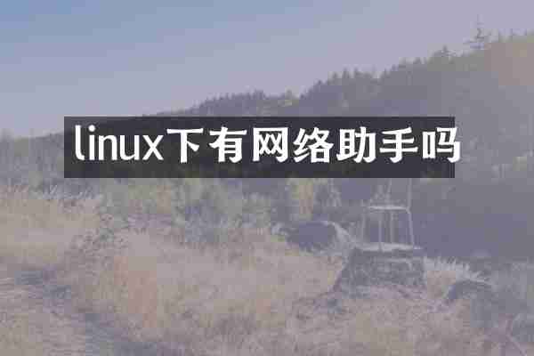 linux下有网络助手吗