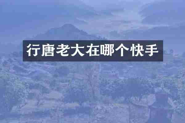 行唐老大在哪个快手