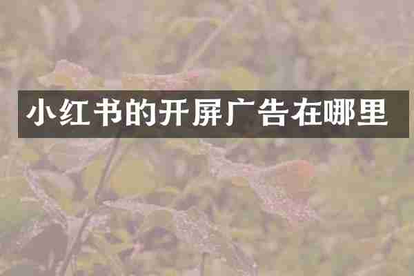 小红书的开屏广告在哪里