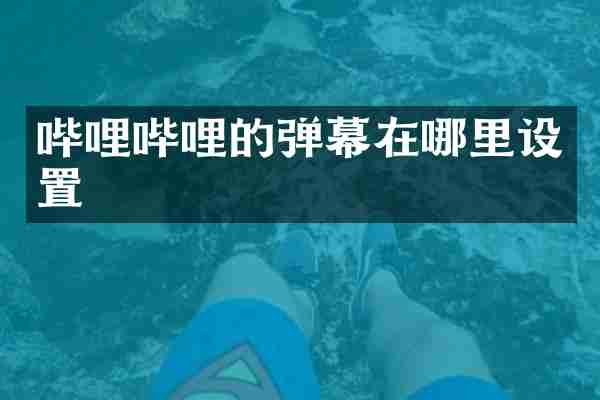 哔哩哔哩的弹幕在哪里设置
