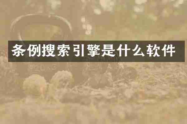条例搜索引擎是什么软件