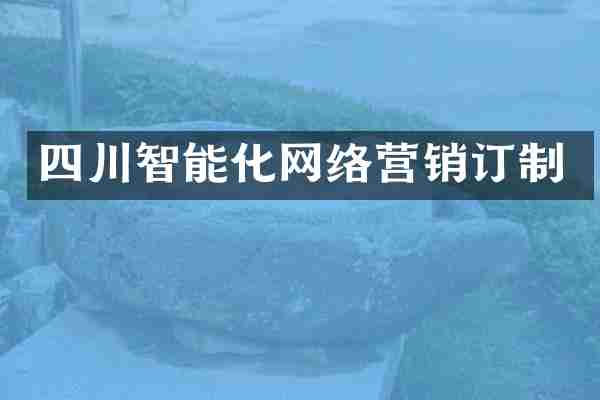 四川智能化网络营销订制