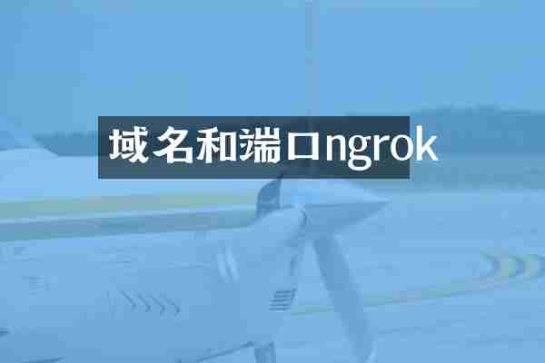 域名和端口ngrok