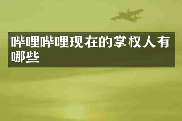哔哩哔哩现在的掌权人有哪些