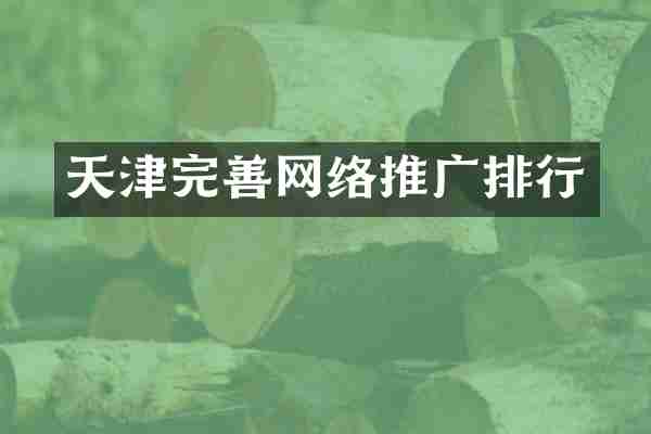 天津完善网络推广排行