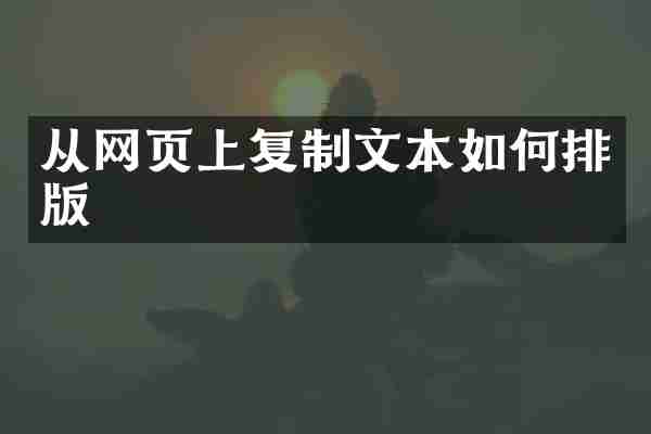 从网页上复制文本如何排版