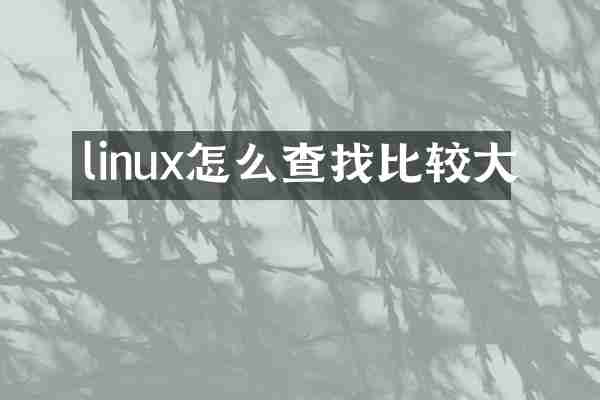 linux怎么查找比较大