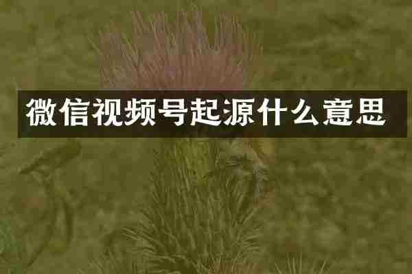 微信视频号起源什么意思